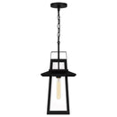 Devonport - Outdoor hanging 1 light matte black - DEV1910MBK