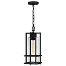 Damien - Mini pendant 1 light earth black - DMN1507EK