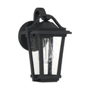 Darius - Outdoor wall 1 light earth black - DRS8407EK