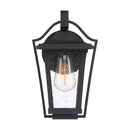 Darius - Outdoor wall 1 light earth black - DRS8407EK