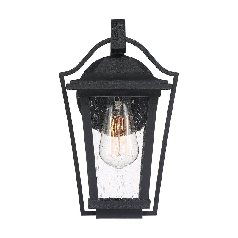 Darius - Outdoor wall 1 light earth black - DRS8407EK