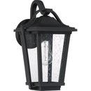Darius - Outdoor wall 1 light earth black - DRS8409EK