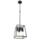 dvp29048mf_eb - mini pendant Multiple Finishes and Ebony - www.donslighthouse.ca