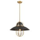 dvp31005gr_vbr - pendant Graphite and Venetian Brass - www.donslighthouse.ca