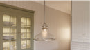 Grant - Pendant 1 light brushed nickel - GRTS2814BN