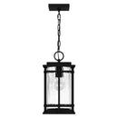 McAlister - Mini pendant 1 light earth black - MCL1508EK