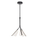 pd62622-bk-lg - pendant Black/Light Guide - www.donslighthouse.ca
