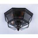 snn1612k - outdoor flush Mystic Black - www.donslighthouse.ca