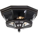 snn1612pn - outdoor flush Palladian Bronze - www.donslighthouse.ca