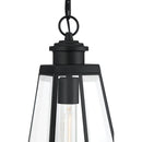 Paxton - Mini pendant 1 light matte black - PAX1507MBK