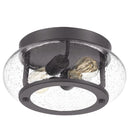 Trilogy - Flush mount 2 light old bronze - TRG1612OZ