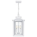 Wakefield - Outdoor hanging 3 light white lustre - WKF1911W